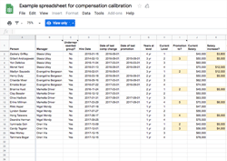 Tracking compensation and promotion inequity worksheet